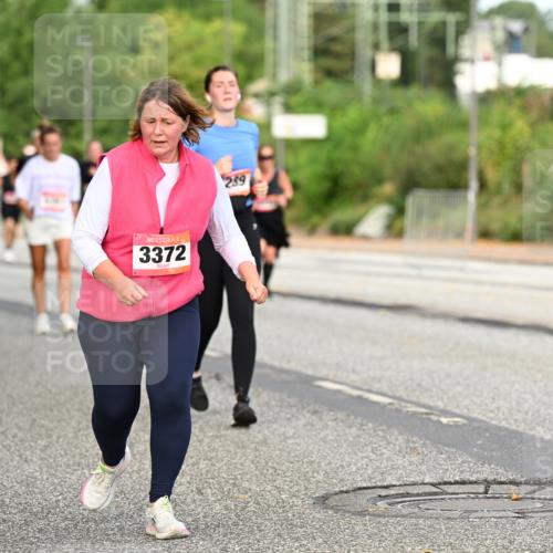 06.09.2026 - CURREX Alsterlauf Dr. Thomas Lammeyer http://msf.ph/oto/10145206 06.09.2026 10:17:59 Laufen 3372, 259 meine-sportfotos.de