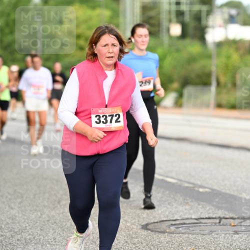 06.09.2026 - CURREX Alsterlauf Dr. Thomas Lammeyer http://msf.ph/oto/10145215 06.09.2026 10:18:00 Laufen 3372, 259 meine-sportfotos.de