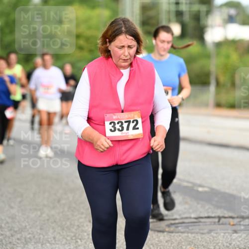 06.09.2026 - CURREX Alsterlauf Dr. Thomas Lammeyer http://msf.ph/oto/10145221 06.09.2026 10:18:01 Laufen 3372 meine-sportfotos.de
