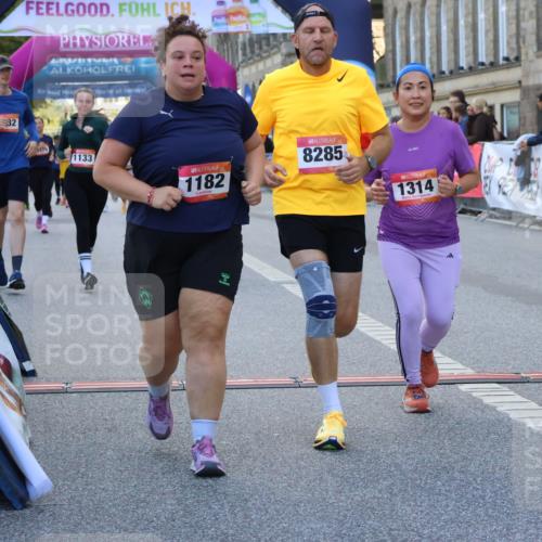 06.09.2026 - CURREX Alsterlauf Strokosch-Dieckow http://msf.ph/oto/10145265 06.09.2026 11:51:14 Ziel 1079, 1182, 1246, 1314, 4444, 8098, 8251, 8285, 8312 meine-sportfotos.de