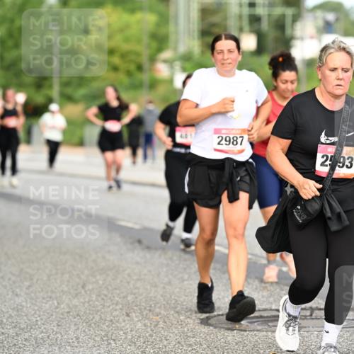 06.09.2026 - CURREX Alsterlauf Dr. Thomas Lammeyer http://msf.ph/oto/10145378 06.09.2026 10:18:17 Laufen 2987, 2593, 5318 meine-sportfotos.de