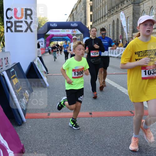 06.09.2026 - CURREX Alsterlauf Strokosch-Dieckow http://msf.ph/oto/10145379 06.09.2026 11:51:27 Ziel 1032, 1035, 1103, 1129, 1148, 1178, 1179, 1180, 1224, 1300, 1301, 1343, 1346, 8047, 8172, 8184, 8208, 8335 meine-sportfotos.de
