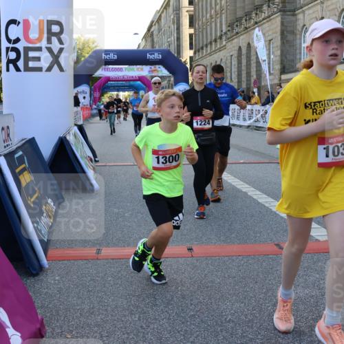 06.09.2026 - CURREX Alsterlauf Strokosch-Dieckow http://msf.ph/oto/10145388 06.09.2026 11:51:27 Ziel 1032, 1035, 1103, 1129, 1148, 1178, 1179, 1180, 1224, 1300, 1301, 1343, 1346, 8047, 8172, 8184, 8208, 8335 meine-sportfotos.de