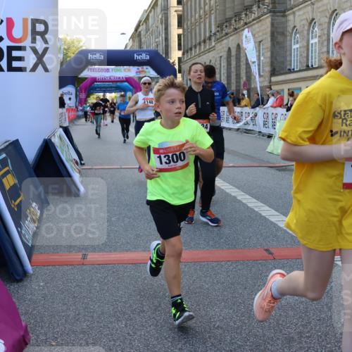 06.09.2026 - CURREX Alsterlauf Strokosch-Dieckow http://msf.ph/oto/10145408 06.09.2026 11:51:27 Ziel 1032, 1035, 1103, 1129, 1148, 1178, 1179, 1180, 1224, 1300, 1301, 1343, 1346, 8047, 8172, 8184, 8208, 8335 meine-sportfotos.de