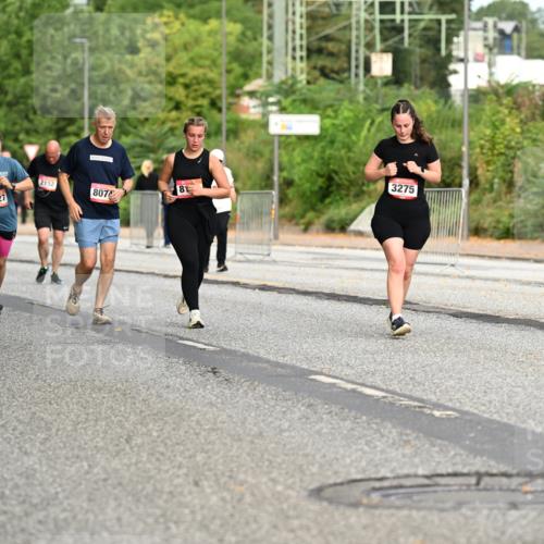 06.09.2026 - CURREX Alsterlauf Dr. Thomas Lammeyer http://msf.ph/oto/10145420 06.09.2026 10:18:21 Laufen 5128, 3427, 2152, 3275, 81, 8070 meine-sportfotos.de