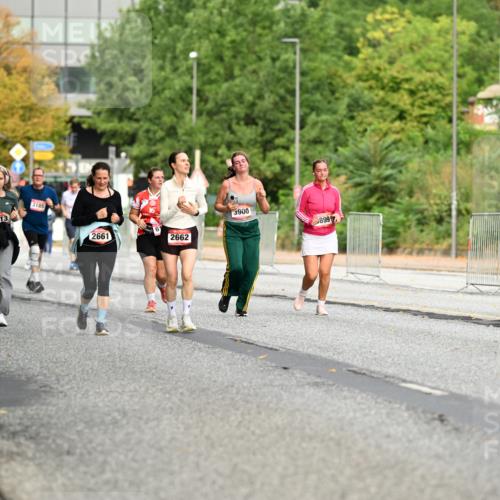06.09.2026 - CURREX Alsterlauf Dr. Thomas Lammeyer http://msf.ph/oto/10145781 06.09.2026 10:19:22 Laufen 4514, 5817, 3185, 4513, 2661, 2662, 3900, 899 meine-sportfotos.de
