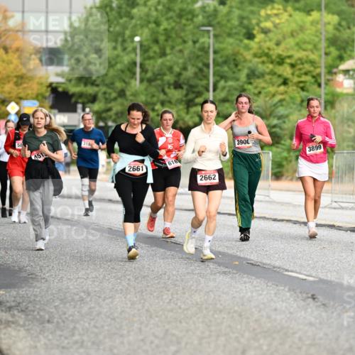 06.09.2026 - CURREX Alsterlauf Dr. Thomas Lammeyer http://msf.ph/oto/10145785 06.09.2026 10:19:25 Laufen 5842, 4514, 58, 451, 318, 2661, 616, 2662, 3900, 3899 meine-sportfotos.de