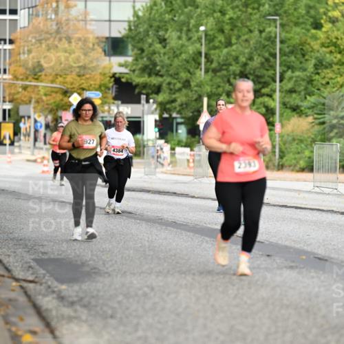 06.09.2026 - CURREX Alsterlauf Dr. Thomas Lammeyer http://msf.ph/oto/10145869 06.09.2026 10:19:49 Laufen 84, 927, 4384, 2393 meine-sportfotos.de