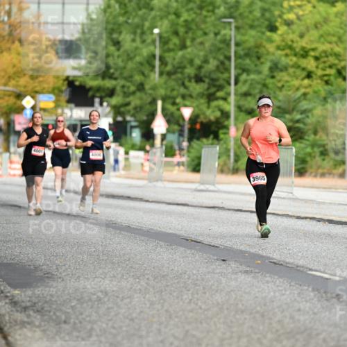 06.09.2026 - CURREX Alsterlauf Dr. Thomas Lammeyer http://msf.ph/oto/10145965 06.09.2026 10:20:03 Laufen 4001, 4000, 3965 meine-sportfotos.de