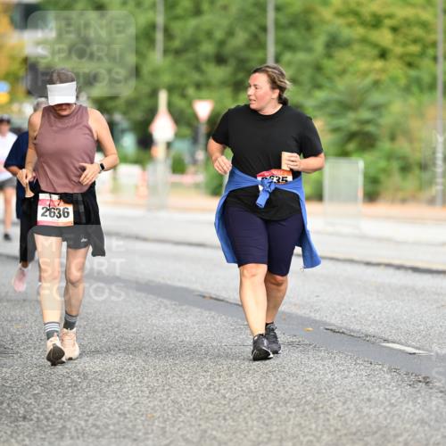 06.09.2026 - CURREX Alsterlauf Dr. Thomas Lammeyer http://msf.ph/oto/10146031 06.09.2026 10:20:19 Laufen 2636, 35 meine-sportfotos.de