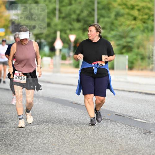 06.09.2026 - CURREX Alsterlauf Dr. Thomas Lammeyer http://msf.ph/oto/10146032 06.09.2026 10:20:19 Laufen 2636, 35 meine-sportfotos.de
