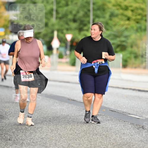 06.09.2026 - CURREX Alsterlauf Dr. Thomas Lammeyer http://msf.ph/oto/10146037 06.09.2026 10:20:19 Laufen 2636, 35 meine-sportfotos.de