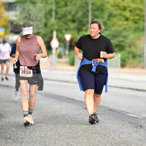 06.09.2026 - CURREX Alsterlauf Dr. Thomas Lammeyer http://msf.ph/oto/10146038 06.09.2026 10:20:19 Laufen 2636, 35 meine-sportfotos.de