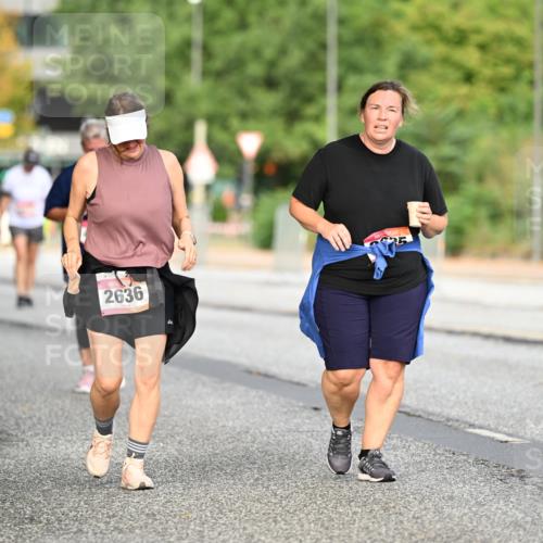 06.09.2026 - CURREX Alsterlauf Dr. Thomas Lammeyer http://msf.ph/oto/10146044 06.09.2026 10:20:20 Laufen 2636, 10, 25 meine-sportfotos.de
