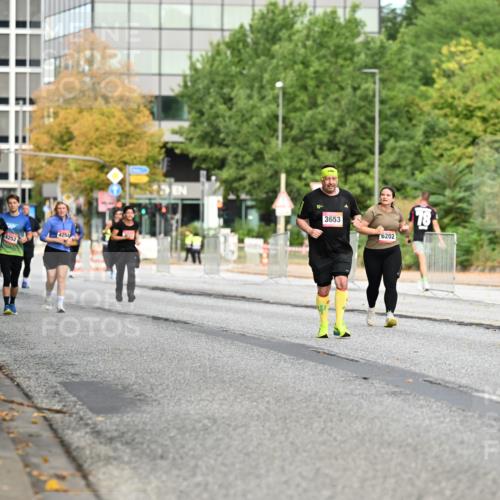 06.09.2026 - CURREX Alsterlauf Dr. Thomas Lammeyer http://msf.ph/oto/10146205 06.09.2026 10:20:52 Laufen 6252, 4258, 3653, 6202, 78 meine-sportfotos.de