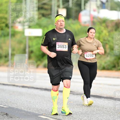 06.09.2026 - CURREX Alsterlauf Dr. Thomas Lammeyer http://msf.ph/oto/10146213 06.09.2026 10:21:00 Laufen 3653, 6202 meine-sportfotos.de