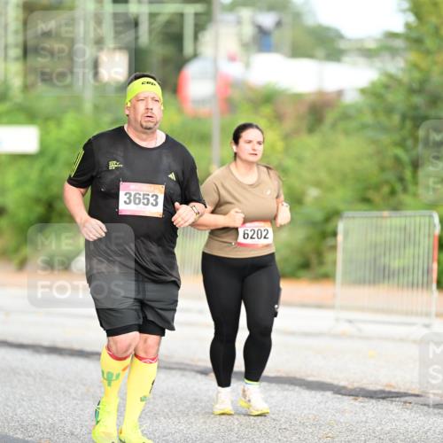 06.09.2026 - CURREX Alsterlauf Dr. Thomas Lammeyer http://msf.ph/oto/10146216 06.09.2026 10:21:00 Laufen 3653, 6202 meine-sportfotos.de