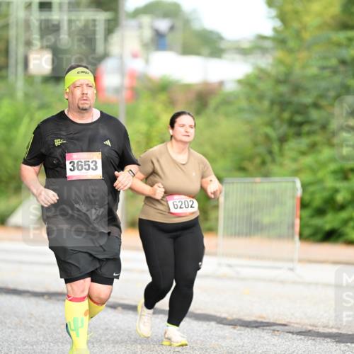 06.09.2026 - CURREX Alsterlauf Dr. Thomas Lammeyer http://msf.ph/oto/10146218 06.09.2026 10:21:00 Laufen 3653, 6202 meine-sportfotos.de