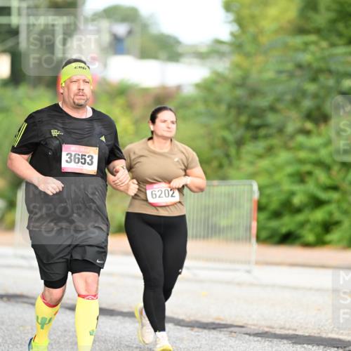 06.09.2026 - CURREX Alsterlauf Dr. Thomas Lammeyer http://msf.ph/oto/10146221 06.09.2026 10:21:01 Laufen 3653, 6202 meine-sportfotos.de