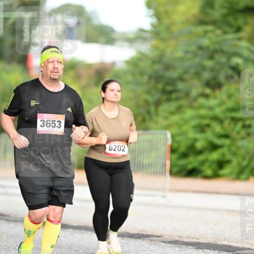 06.09.2026 - CURREX Alsterlauf Dr. Thomas Lammeyer http://msf.ph/oto/10146222 06.09.2026 10:21:01 Laufen 3653, 6202 meine-sportfotos.de