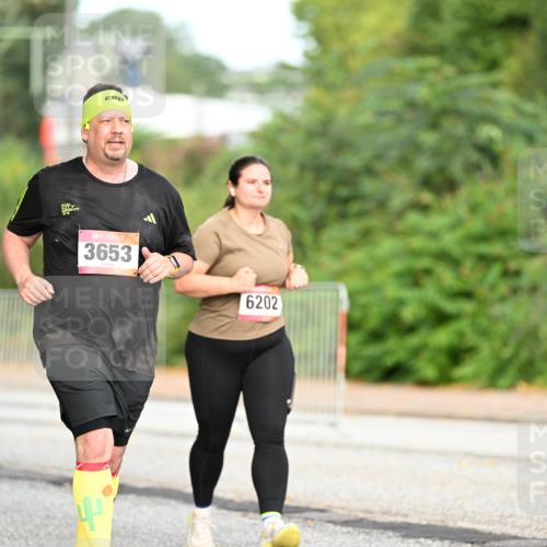 06.09.2026 - CURREX Alsterlauf Dr. Thomas Lammeyer http://msf.ph/oto/10146224 06.09.2026 10:21:01 Laufen 3653, 6202 meine-sportfotos.de