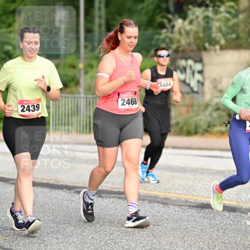 06.09.2026 - CURREX Alsterlauf Dr. Thomas Lammeyer http://msf.ph/oto/10146374 06.09.2026 10:21:25 Laufen 2439, 2468, 4484, 3774 meine-sportfotos.de