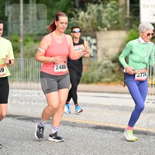 06.09.2026 - CURREX Alsterlauf Dr. Thomas Lammeyer http://msf.ph/oto/10146375 06.09.2026 10:21:25 Laufen 2439, 2468, 448, 3774 meine-sportfotos.de