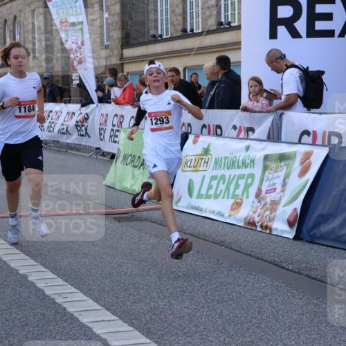 06.09.2026 - CURREX Alsterlauf Strokosch-Dieckow http://msf.ph/oto/10146421 06.09.2026 11:53:04 Ziel 1001, 1040, 1184, 1283, 1293, 4802, 8155, 8300 meine-sportfotos.de