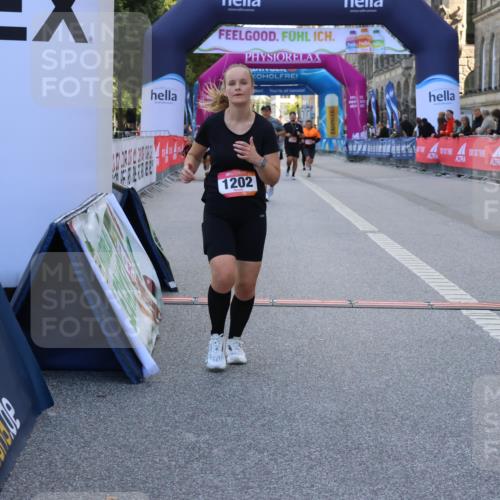 06.09.2026 - CURREX Alsterlauf Strokosch-Dieckow http://msf.ph/oto/10146470 06.09.2026 11:53:11 Ziel 1040, 1202, 8155 meine-sportfotos.de