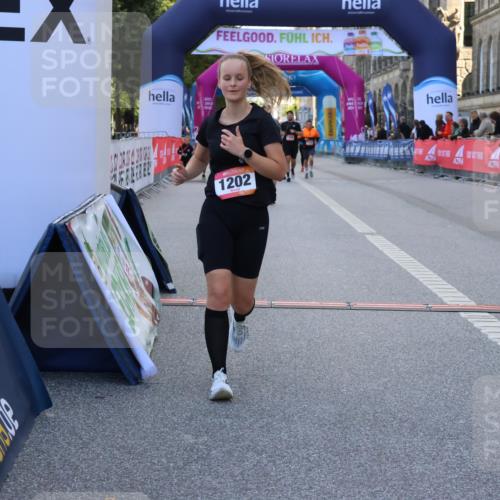06.09.2026 - CURREX Alsterlauf Strokosch-Dieckow http://msf.ph/oto/10146490 06.09.2026 11:53:11 Ziel 1040, 1202, 8155 meine-sportfotos.de