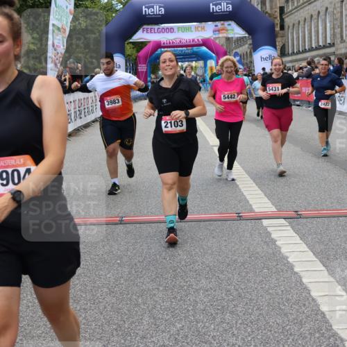 06.09.2026 - CURREX Alsterlauf Strokosch-Dieckow http://msf.ph/oto/10146584 06.09.2026 10:22:01 Ziel 2103, 2422, 3474, 3538, 3904, 3910, 3983, 4025, 4869, 4960, 5431, 5442, 5508, 8232 meine-sportfotos.de