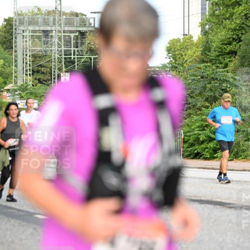 06.09.2026 - CURREX Alsterlauf Dr. Thomas Lammeyer http://msf.ph/oto/10146694 06.09.2026 10:22:23 Laufen 178, 287, 6, 3784 meine-sportfotos.de