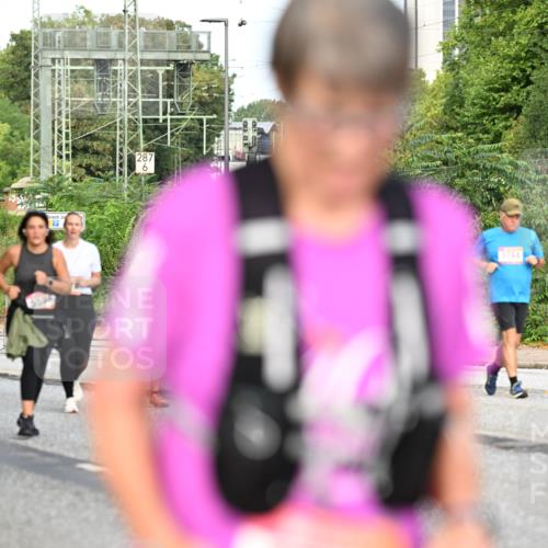 06.09.2026 - CURREX Alsterlauf Dr. Thomas Lammeyer http://msf.ph/oto/10146695 06.09.2026 10:22:23 Laufen 287, 6, 3784 meine-sportfotos.de