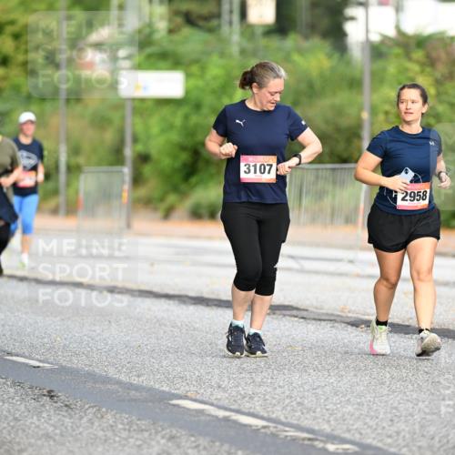 06.09.2026 - CURREX Alsterlauf Dr. Thomas Lammeyer http://msf.ph/oto/10146731 06.09.2026 10:22:42 Laufen 3107, 2958 meine-sportfotos.de