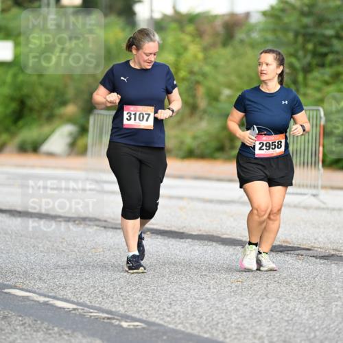 06.09.2026 - CURREX Alsterlauf Dr. Thomas Lammeyer http://msf.ph/oto/10146738 06.09.2026 10:22:43 Laufen 3107, 2958 meine-sportfotos.de