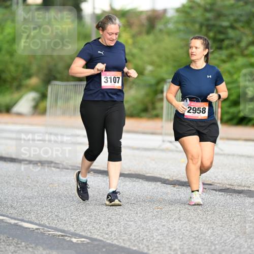 06.09.2026 - CURREX Alsterlauf Dr. Thomas Lammeyer http://msf.ph/oto/10146741 06.09.2026 10:22:44 Laufen 3107, 2958 meine-sportfotos.de