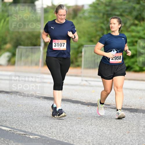 06.09.2026 - CURREX Alsterlauf Dr. Thomas Lammeyer http://msf.ph/oto/10146745 06.09.2026 10:22:44 Laufen 3107, 2958 meine-sportfotos.de