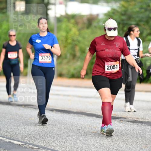 06.09.2026 - CURREX Alsterlauf Dr. Thomas Lammeyer http://msf.ph/oto/10146826 06.09.2026 10:22:56 Laufen 100, 3379, 2051 meine-sportfotos.de