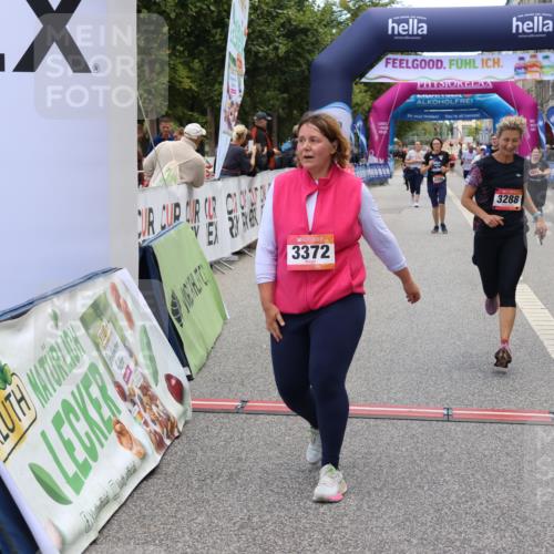 06.09.2026 - CURREX Alsterlauf Strokosch-Dieckow http://msf.ph/oto/10147062 06.09.2026 10:22:51 Ziel 2243, 2751, 2774, 3288, 3372, 5289, 6489, 8074, 8119 meine-sportfotos.de