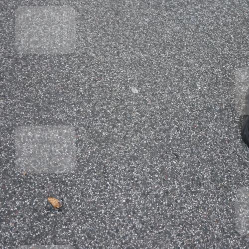 06.09.2026 - CURREX Alsterlauf Strokosch-Dieckow http://msf.ph/oto/10147124 06.09.2026 11:55:48 Ziel 1004, 1005, 1149, 1203, 1234, 1284, 1286, 1288, 1296, 1326 meine-sportfotos.de