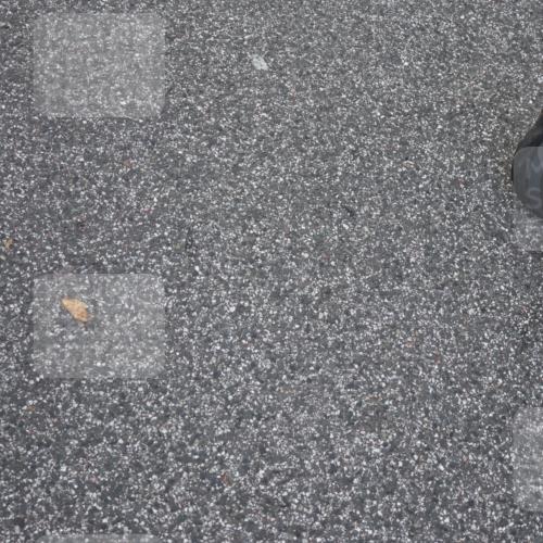 06.09.2026 - CURREX Alsterlauf Strokosch-Dieckow http://msf.ph/oto/10147127 06.09.2026 11:55:48 Ziel 1004, 1005, 1149, 1203, 1234, 1284, 1286, 1288, 1296, 1326 meine-sportfotos.de