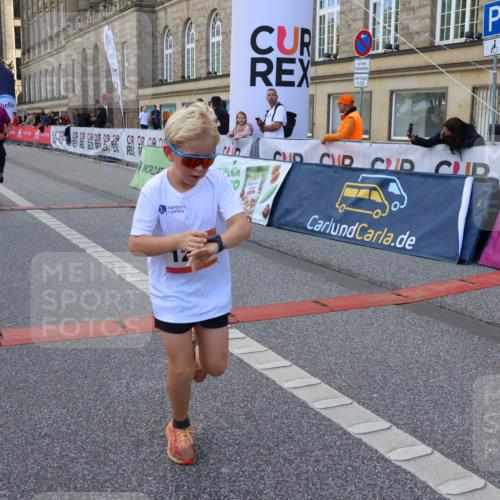 06.09.2026 - CURREX Alsterlauf Strokosch-Dieckow http://msf.ph/oto/10147129 06.09.2026 11:55:52 Ziel 1004, 1072, 1149, 1234, 1296, 1326, 8042, 8251, 8346 meine-sportfotos.de