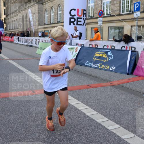 06.09.2026 - CURREX Alsterlauf Strokosch-Dieckow http://msf.ph/oto/10147131 06.09.2026 11:55:52 Ziel 1004, 1072, 1149, 1234, 1296, 1326, 8042, 8251, 8346 meine-sportfotos.de