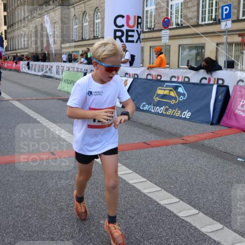 06.09.2026 - CURREX Alsterlauf Strokosch-Dieckow http://msf.ph/oto/10147133 06.09.2026 11:55:52 Ziel 1004, 1072, 1149, 1234, 1296, 1326, 8042, 8251, 8346 meine-sportfotos.de