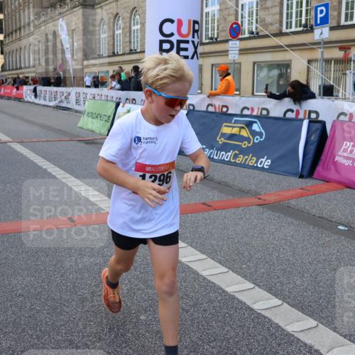 06.09.2026 - CURREX Alsterlauf Strokosch-Dieckow http://msf.ph/oto/10147135 06.09.2026 11:55:52 Ziel 1004, 1072, 1149, 1234, 1296, 1326, 8042, 8251, 8346 meine-sportfotos.de