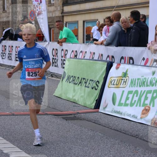 06.09.2026 - CURREX Alsterlauf Strokosch-Dieckow http://msf.ph/oto/10147139 06.09.2026 11:55:55 Ziel 1072, 1109, 1110, 1149, 1296, 1299, 1344, 8042, 8251, 8346 meine-sportfotos.de