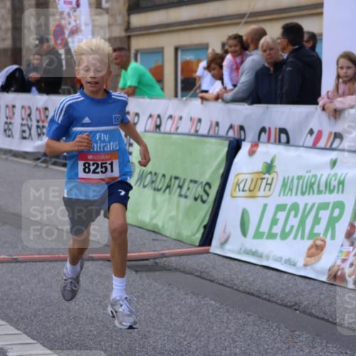 06.09.2026 - CURREX Alsterlauf Strokosch-Dieckow http://msf.ph/oto/10147144 06.09.2026 11:55:55 Ziel 1072, 1109, 1110, 1149, 1296, 1299, 1344, 8042, 8251, 8346 meine-sportfotos.de