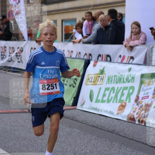 06.09.2026 - CURREX Alsterlauf Strokosch-Dieckow http://msf.ph/oto/10147149 06.09.2026 11:55:56 Ziel 1072, 1109, 1110, 1149, 1296, 1299, 1344, 8042, 8251, 8346 meine-sportfotos.de