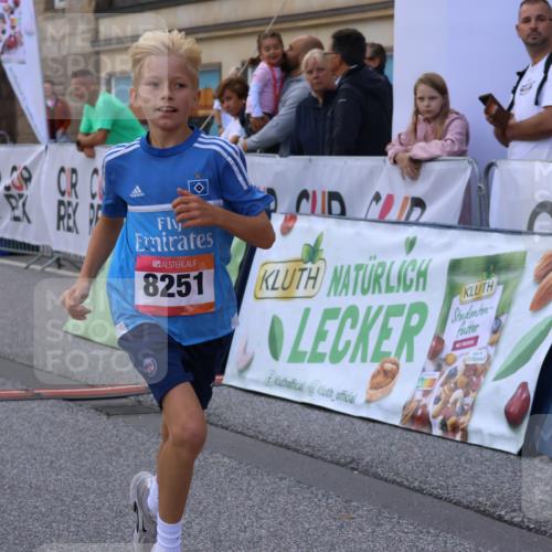 06.09.2026 - CURREX Alsterlauf Strokosch-Dieckow http://msf.ph/oto/10147153 06.09.2026 11:55:56 Ziel 1072, 1109, 1110, 1149, 1296, 1299, 1344, 8042, 8251, 8346 meine-sportfotos.de
