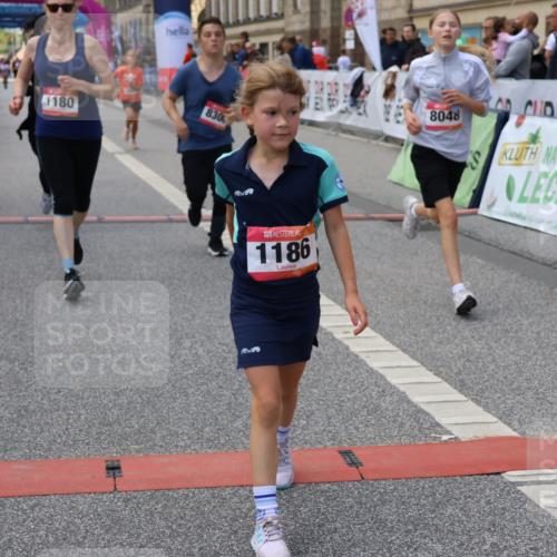 06.09.2026 - CURREX Alsterlauf Strokosch-Dieckow http://msf.ph/oto/10147656 06.09.2026 11:58:12 Ziel 1007, 1020, 1077, 1178, 1179, 1180, 1186, 1199, 1283, 8048, 8300 meine-sportfotos.de